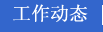 工作动态